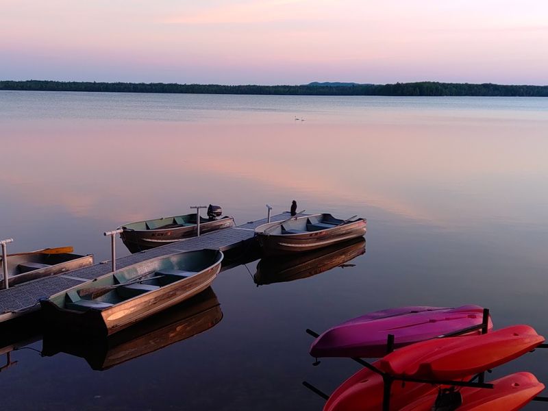 Wildlife, Loons, and the Sounds of a Quiet Lake Wildlife, Loons, and the Sounds of a Quiet Lake