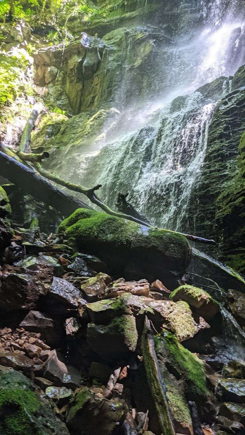 Wildlife, Nature, and What You Might Encounter Along the Way