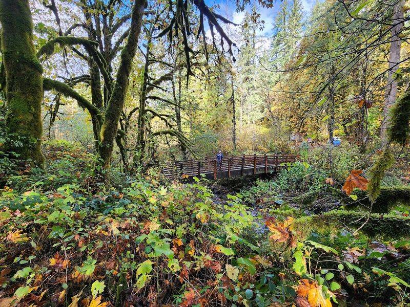 Practical Tips, Parking, and Planning Your Visit