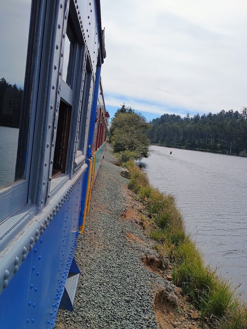 Wildlife Spotting Along the Rail Line