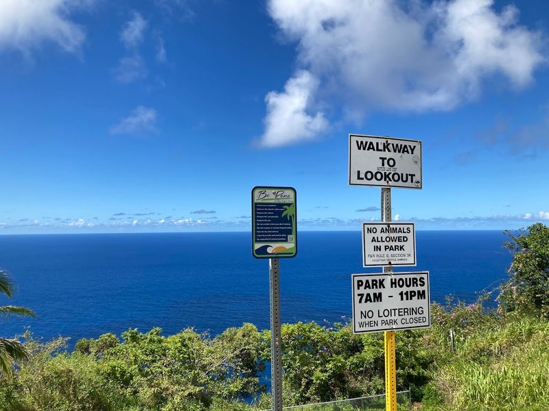 Wildlife Watching: Humpback Whales and More Wildlife Watching: Humpback Whales and More