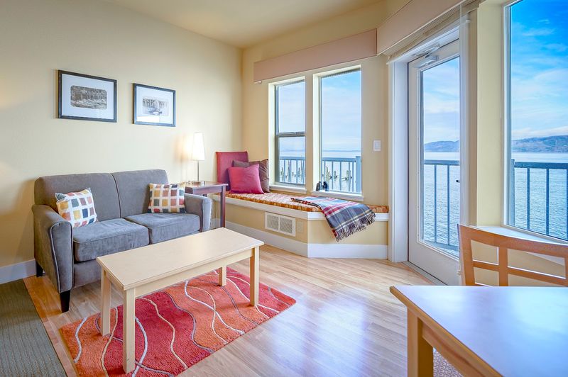 Wildlife Watching Right From Your Room
