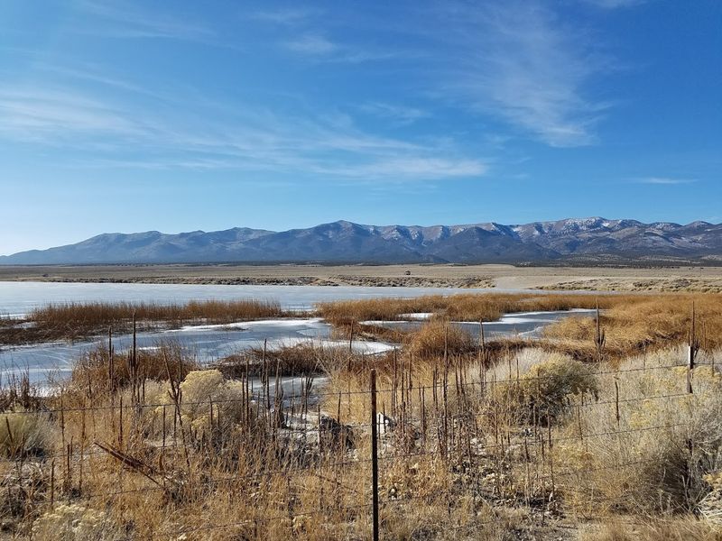 Wildlife Watching in the High Desert