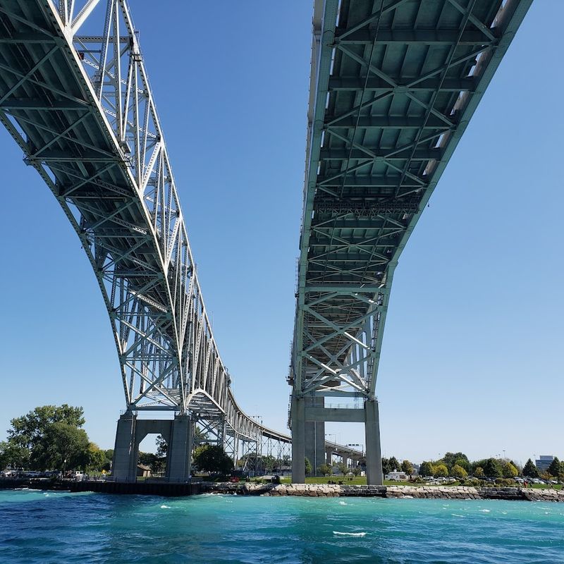 Wildlife, Water Clarity, and Nature Surprises