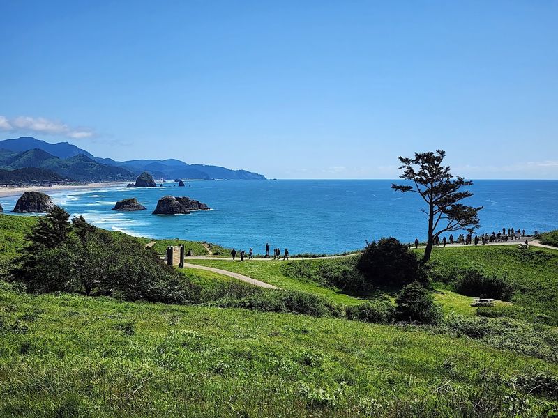 Wildlife, Wildflowers, and What Lives in the Park