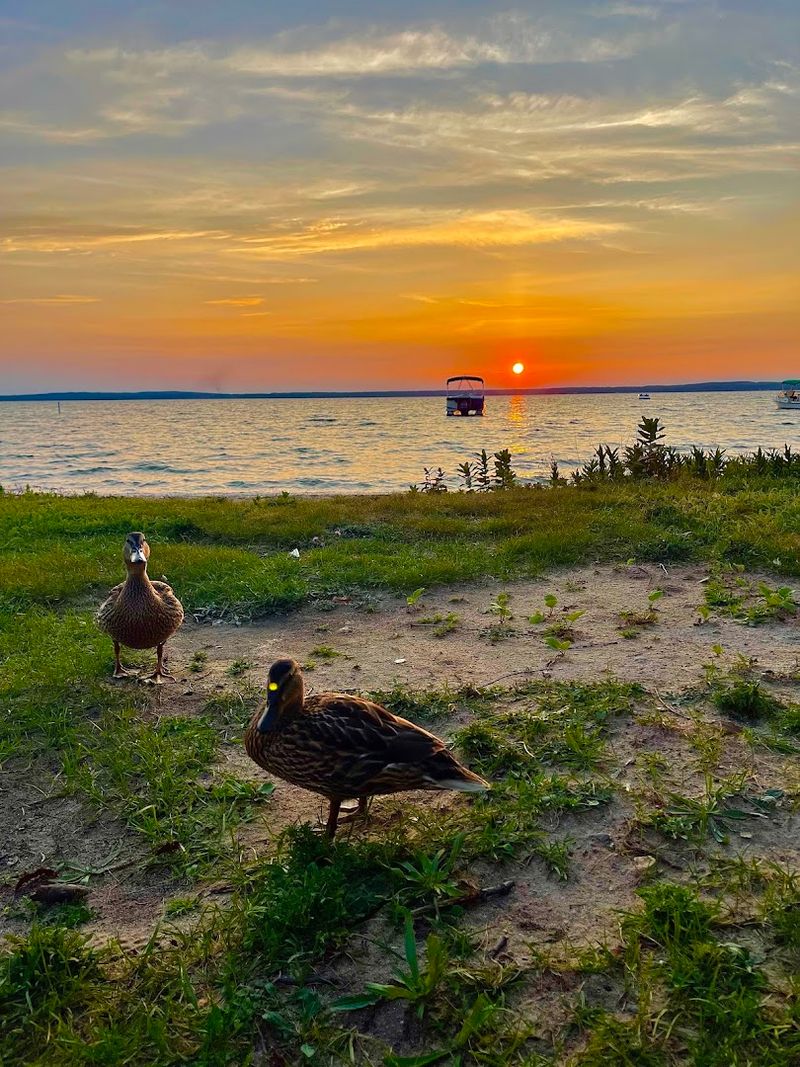 Wildlife, Wildflowers, and a Few Unexpected Natural Surprises
