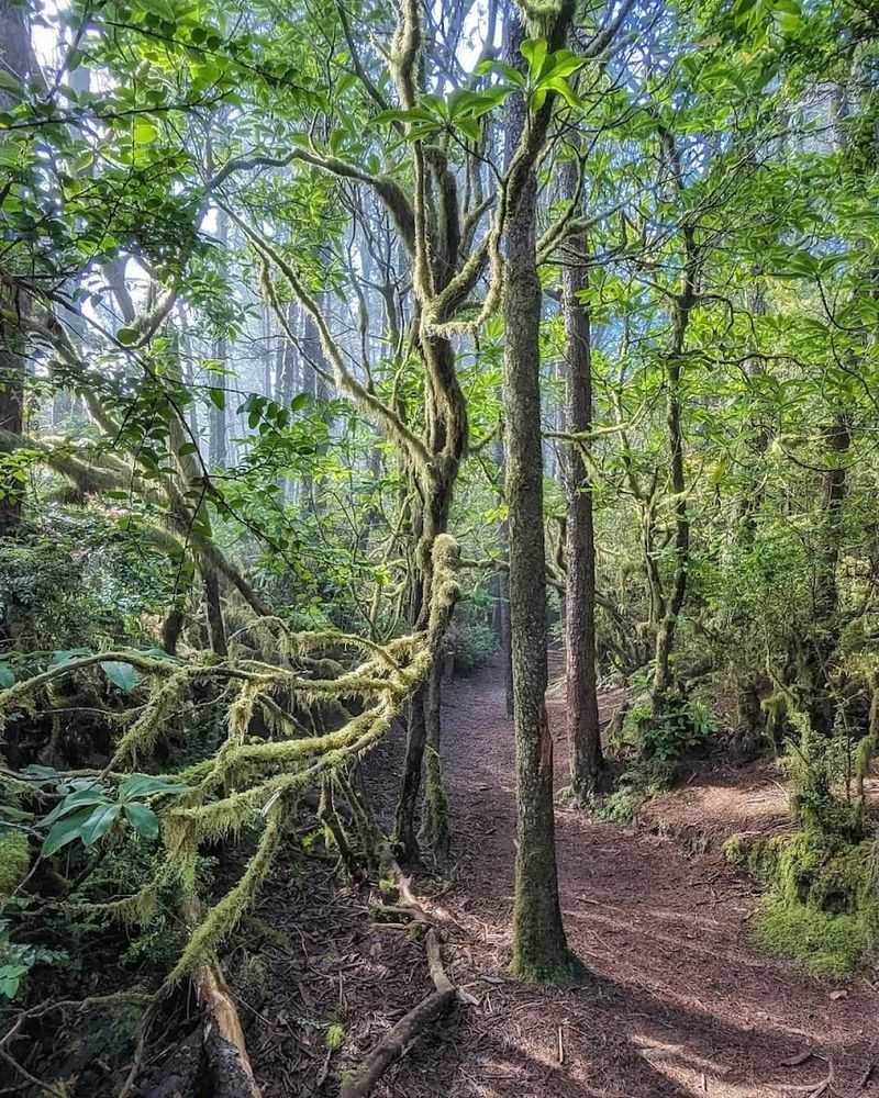 Wildlife and Natural Details Worth Watching For