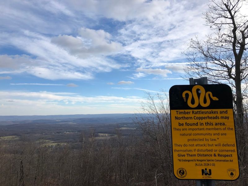 Wildlife and Nature Along the Trail