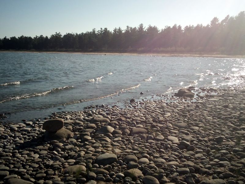 Wildlife and the Kind of Quiet That Heals Something