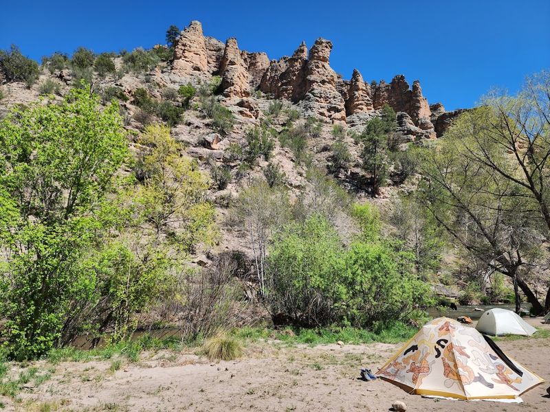 Wildlife and the Natural Setting Around Camp