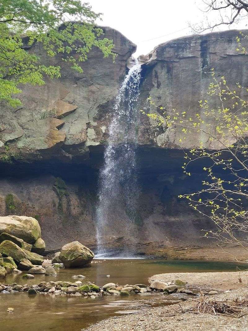 Williamsport Falls
