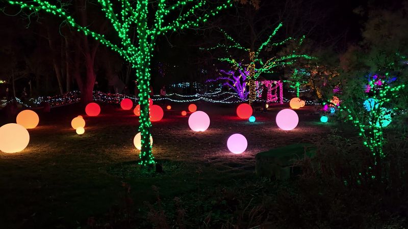 Winter Garden aGlow: When the Garden Transforms After Dark Winter Garden aGlow: When the Garden Transforms After Dark