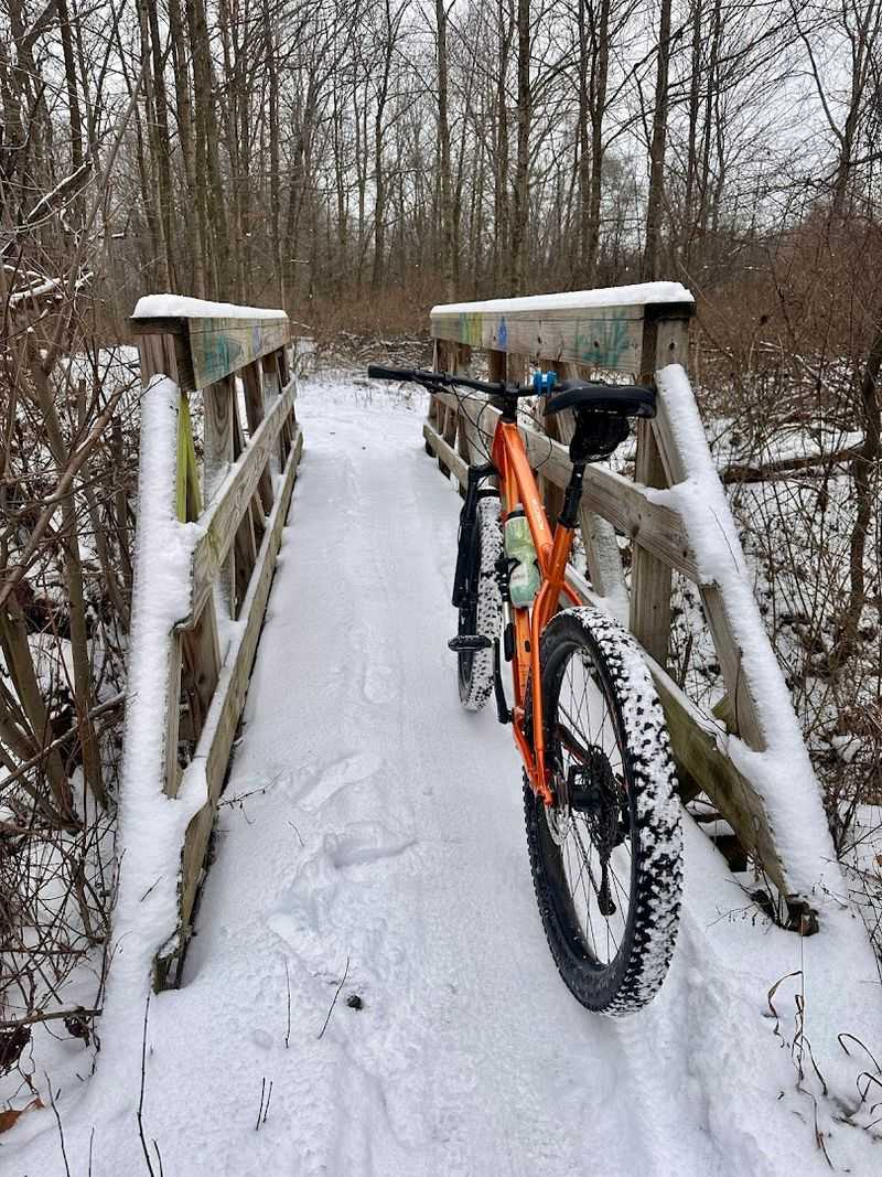 Winter Grooming and Year-Round Riding Conditions