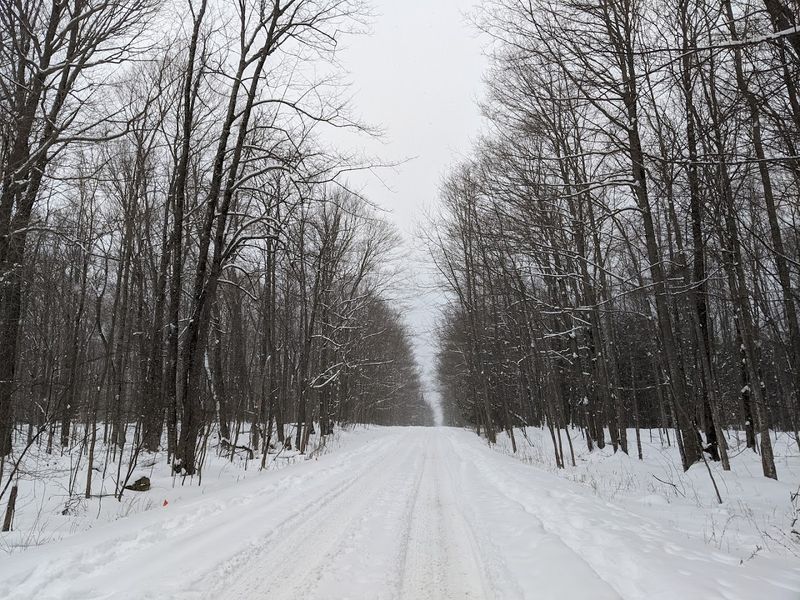 Winter at the Park: Cross-Country Skiing and Snowshoeing