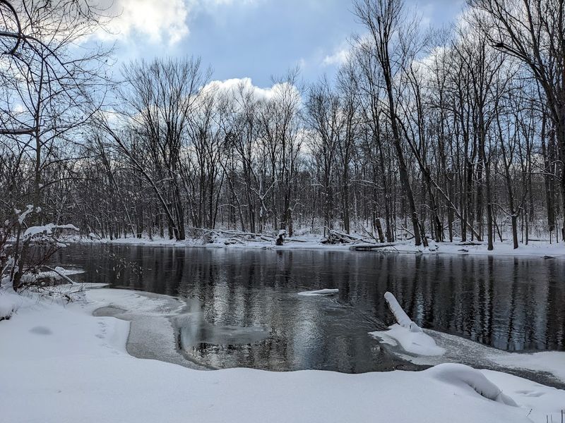 Winter at the Park Is Quieter but No Less Worth the Trip