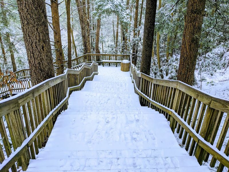 Winter at the Park: The Longest Sled Run on the East Coast Winter at the Park: The Longest Sled Run on the East Coast