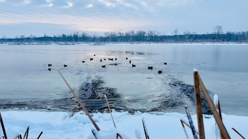 Winter on the Trail: A Completely Different Experience Winter on the Trail: A Completely Different Experience