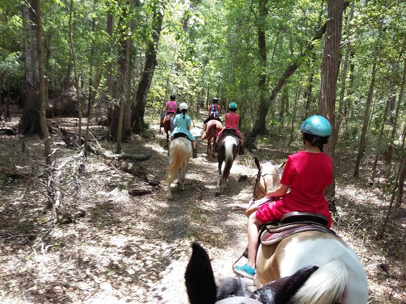 Withlacoochee State Forest – Brooksville