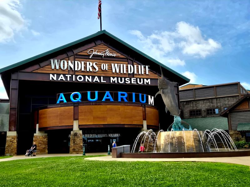 Wonders of Wildlife National Museum & Aquarium