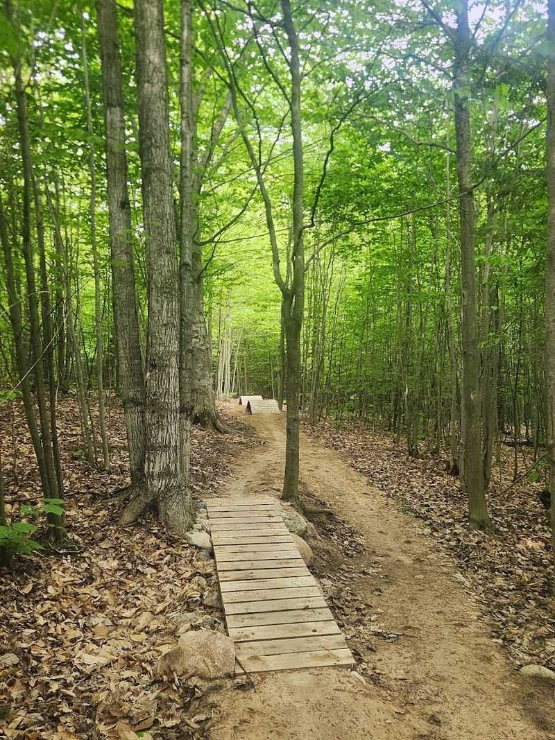 Year-Round Access and What Each Season Brings Year-Round Access and What Each Season Brings