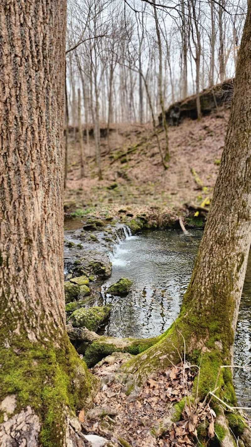 Yellow Springs