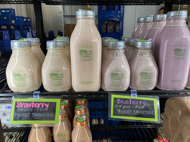 Yogurt, Smoothies, and Cultured Dairy Products