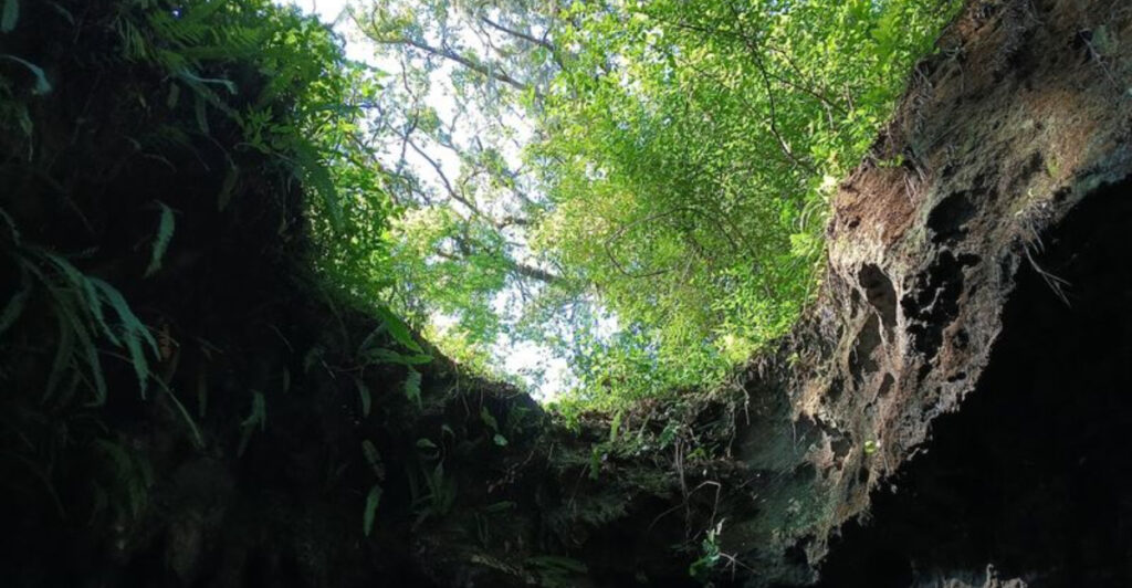 You Won’t Expect to Find a Cave Like This in Florida