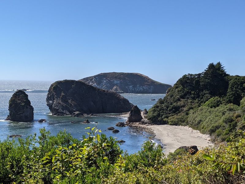 Yurt Life on the Oregon Coast Is a Whole Different Experience