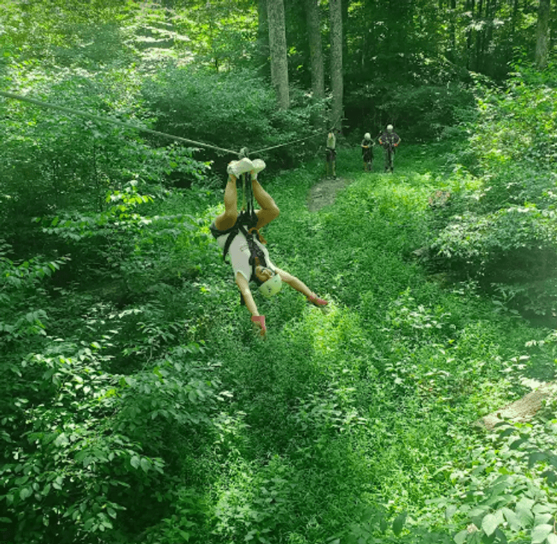 Zip Lining Over the Forested Landscape