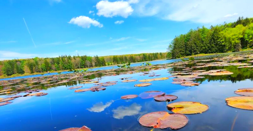 11 Beautiful Pennsylvania State Parks That Deserve More Attention