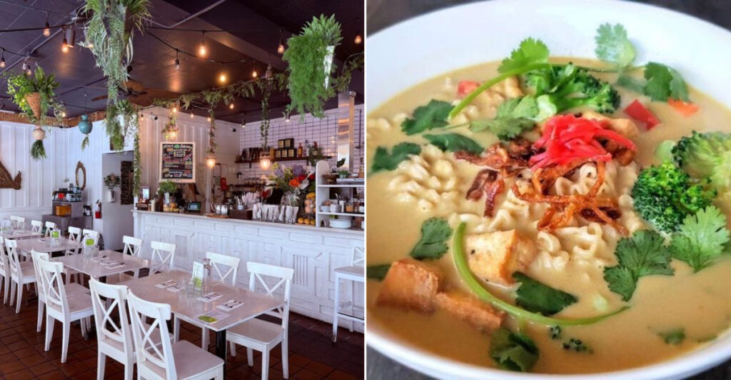 12 Washington Vegan Restaurants That Are An Absolute 2026 Must-Try