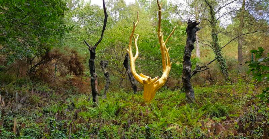 13 Hidden Forest Regions Filled With Legends and Folklore