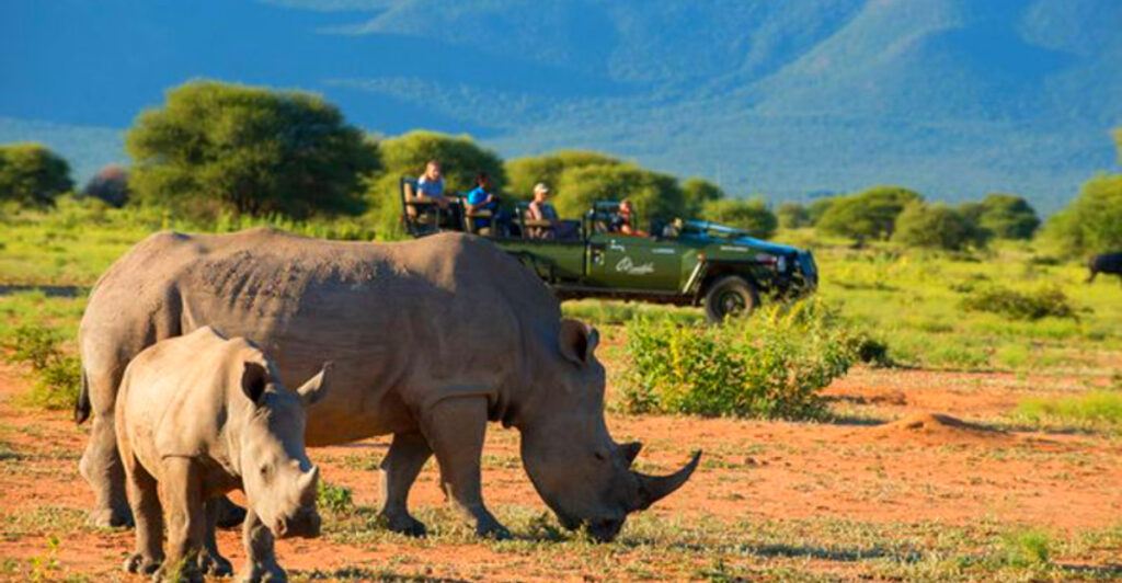13 Places in South Africa Known for Incredible Wildlife Diversity