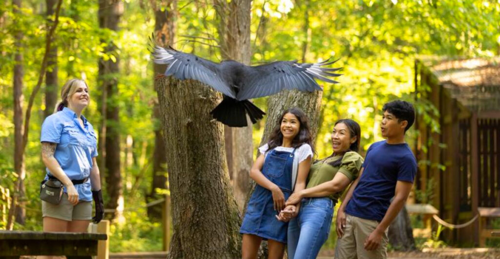 14 Wildlife Centers Helping Injured Birds Return to the Wild