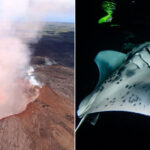 15 Bucket-List Things to Do on Hawaii’s Big Island