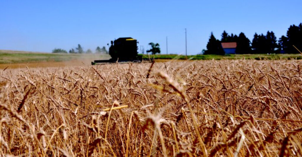 15 Countries That Import the Most Food and 5 That Can Feed Themselves