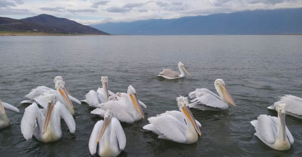 15 European Lake Escapes That Still Feel Wild and Unspoiled