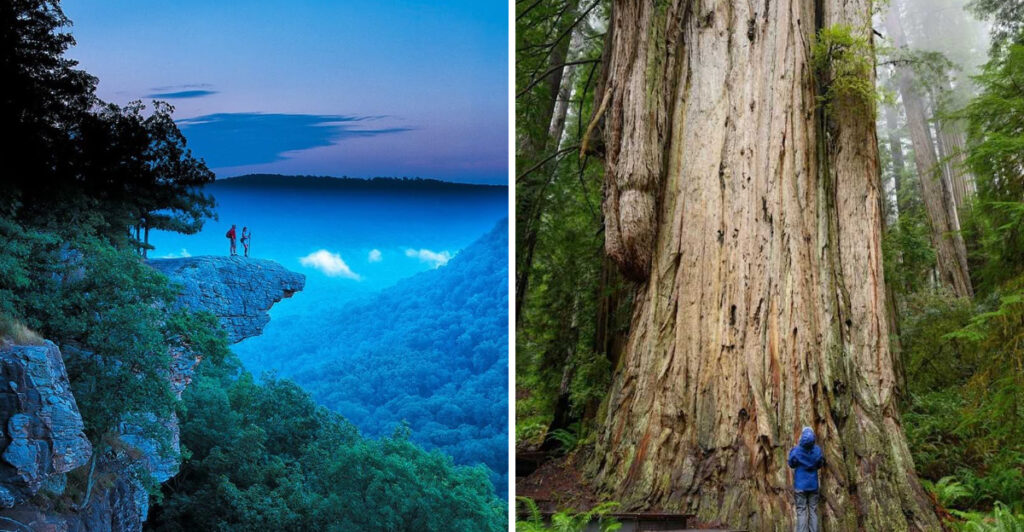 15 Incredible U.S. Forests Where Nature Is at Its Most Spectacular