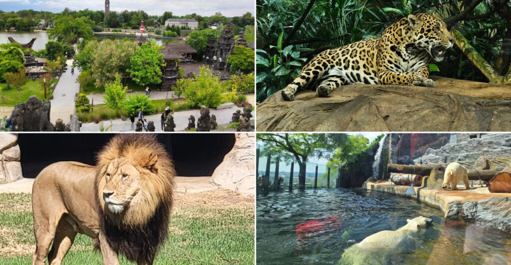 15 Incredible Zoos Where Lions, Tigers, and Bears Steal the Show