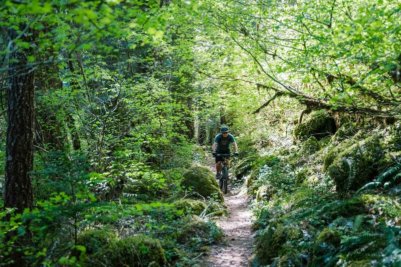 26 Miles of Singletrack: The Full Trail Experience