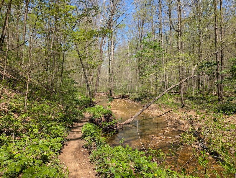 260 Miles of Trails and What They Cover 260 Miles of Trails and What They Cover