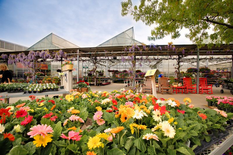 90,000 Square Feet of Pure Plant Paradise