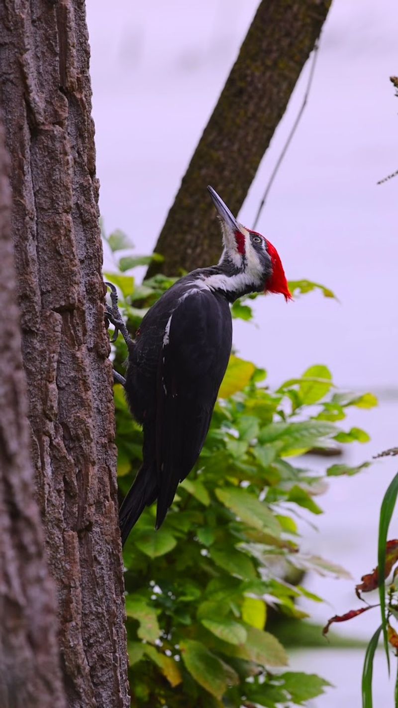 A Bird Sanctuary Worth Taking Seriously A Bird Sanctuary Worth Taking Seriously