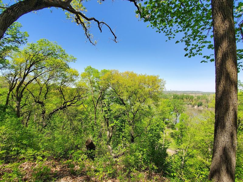 A Birder's Best Day in the Midwest A Birder's Best Day in the Midwest