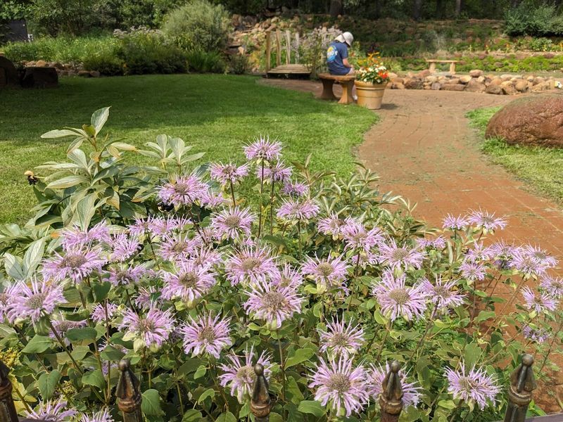 A Botanical Garden That Actually Teaches You Something