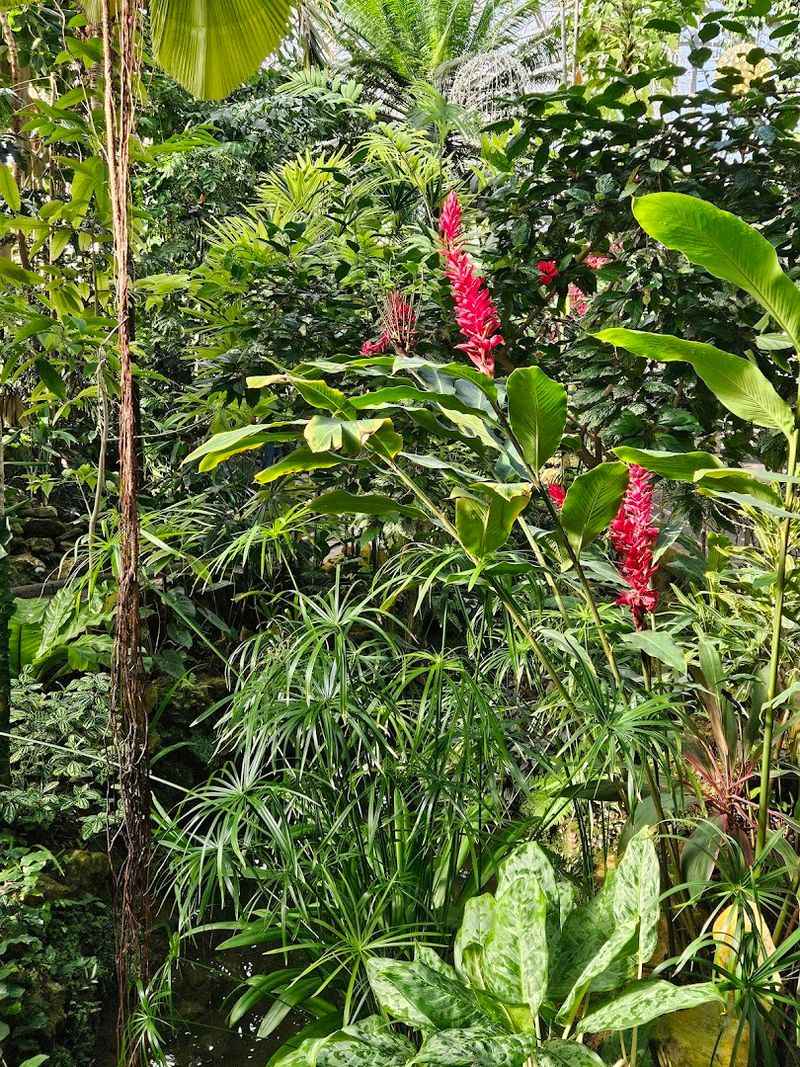 A Botanical Garden With a Big Personality A Botanical Garden With a Big Personality