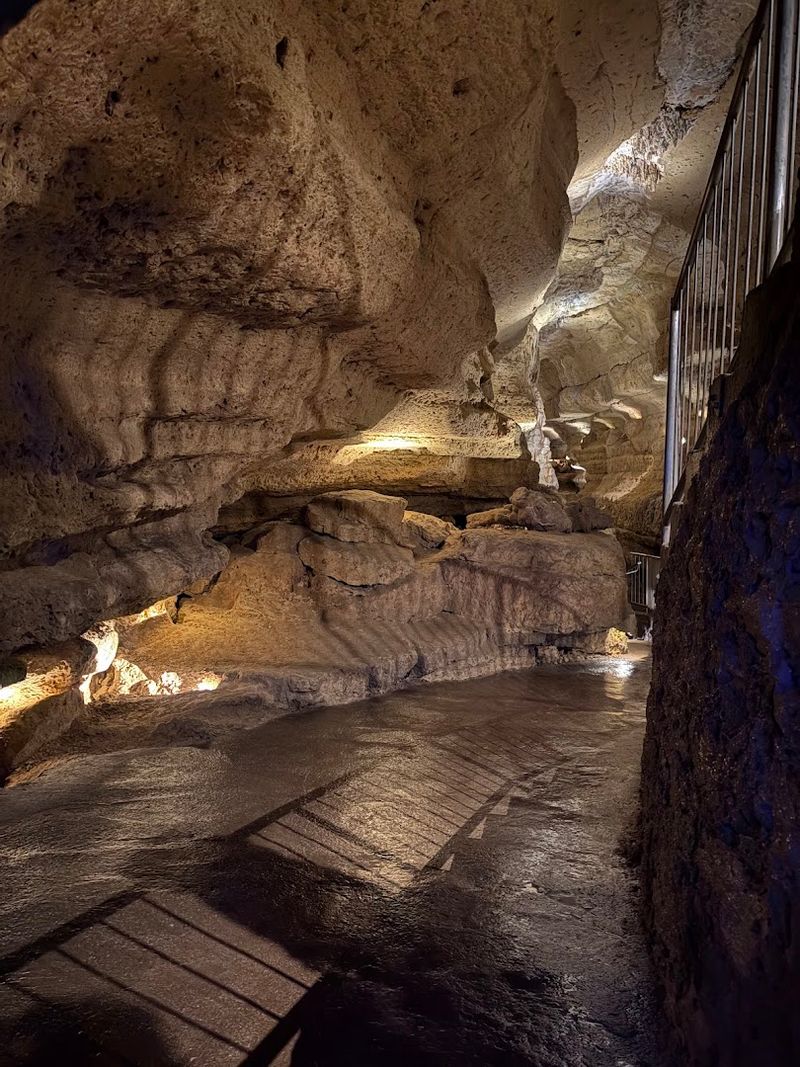 A Cave With No Creepy Crawlers A Cave With No Creepy Crawlers