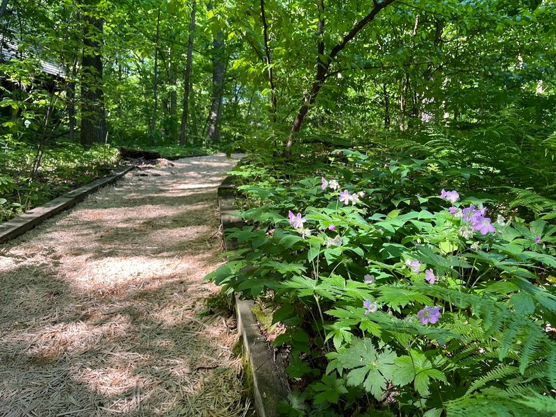 A Closing Walk Through a Place Worth Protecting A Closing Walk Through a Place Worth Protecting