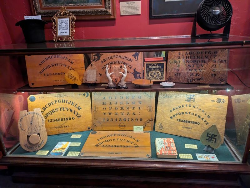 A Collection That Earns the Word 'Largest'