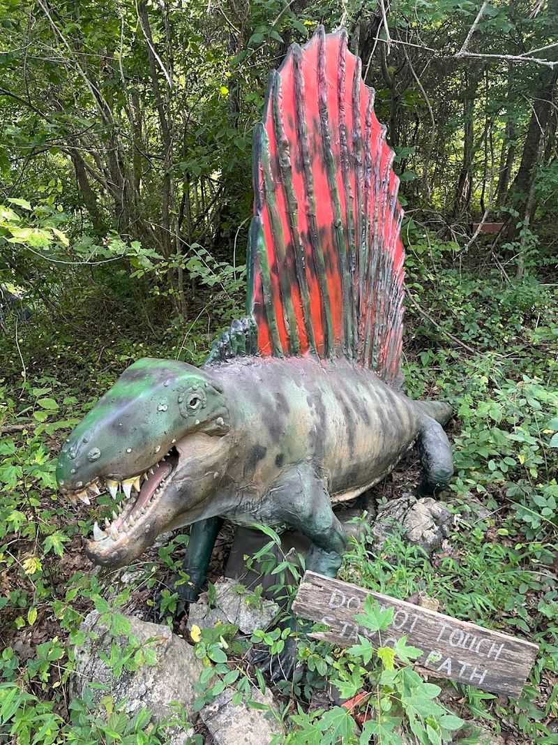 A Community Treasure Still Growing
